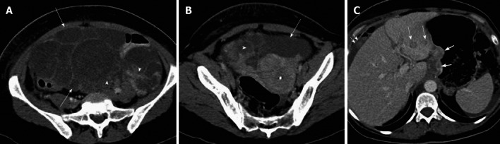 Figure 15