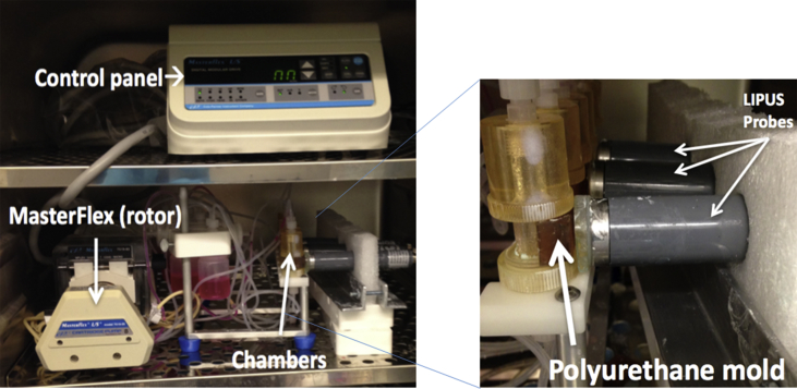 Figure 1