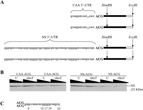 FIGURE 1.