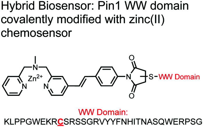 graphic file with name d1cb00055a-u13.jpg