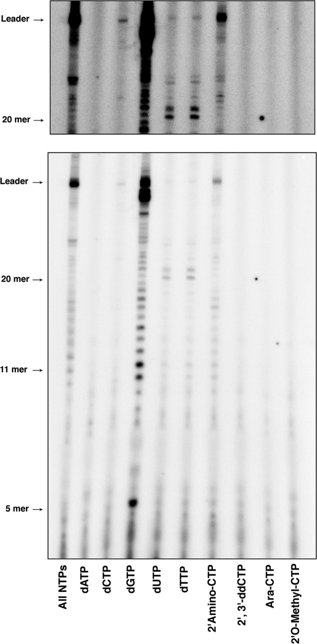 FIGURE 7.