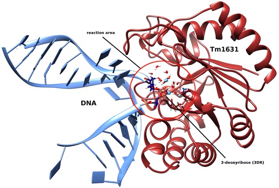 Graphical abstract