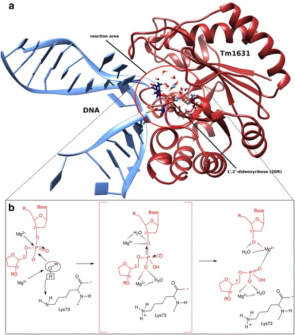 Fig. 1