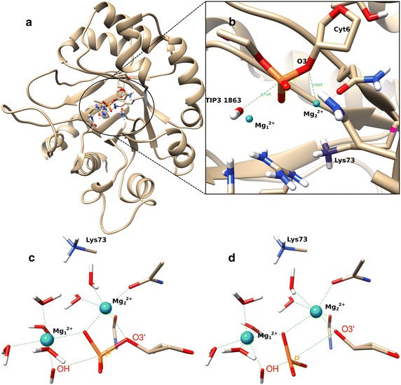 Fig. 2