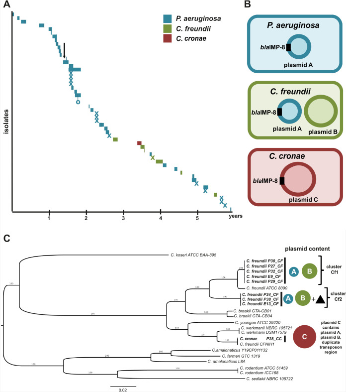 FIG 2