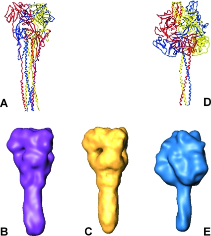 FIG. 4.