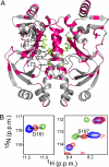 Fig. 6.