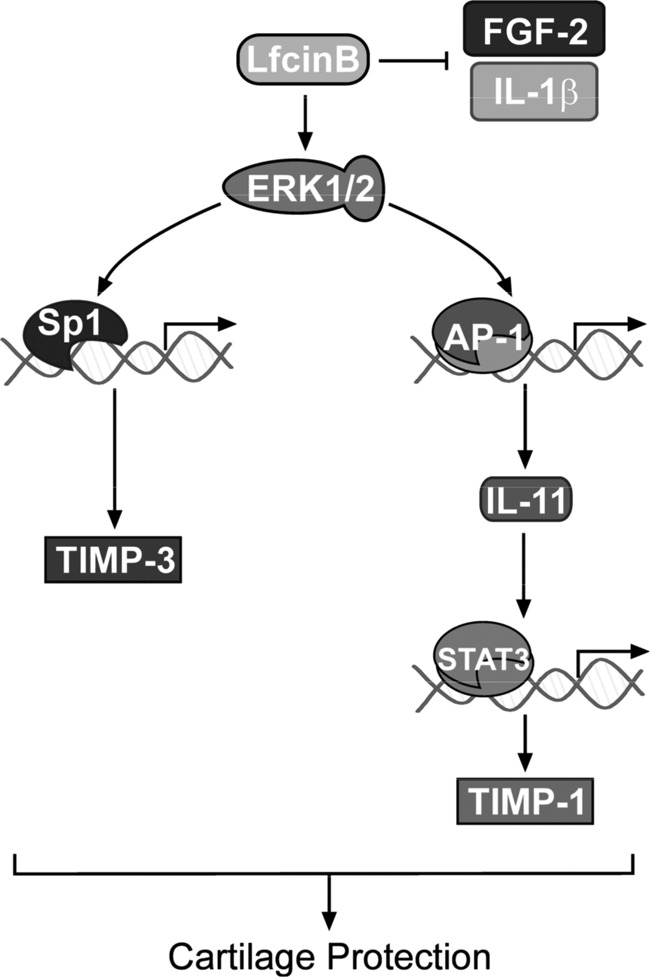 FIGURE 9.