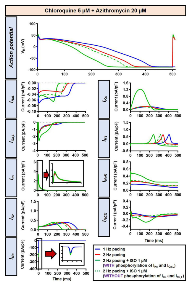 Figure 12