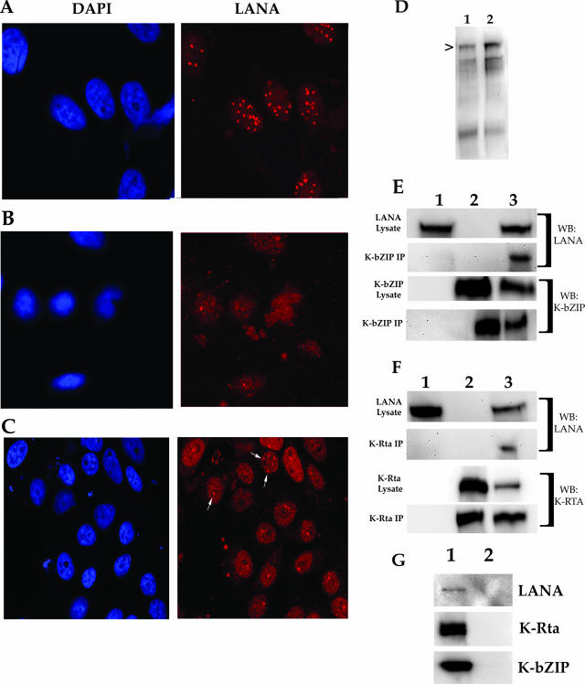 FIG. 9.