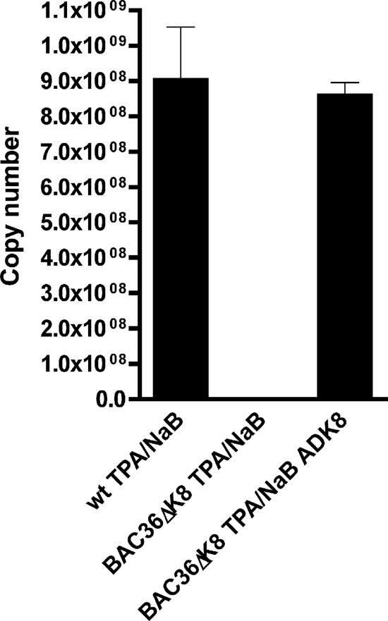 FIG. 7.