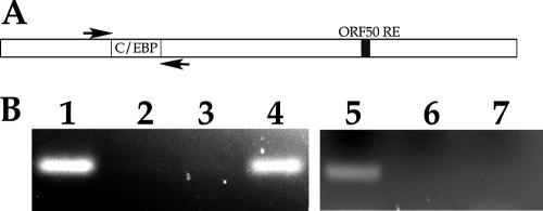 FIG. 10.