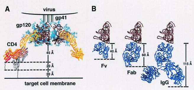 FIG. 6.