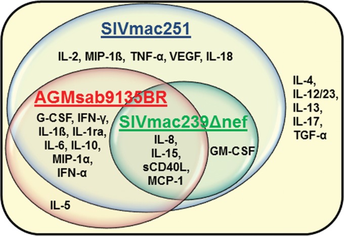 FIG 3