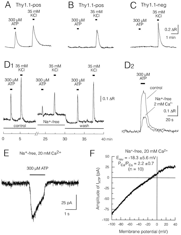 Fig. 9.