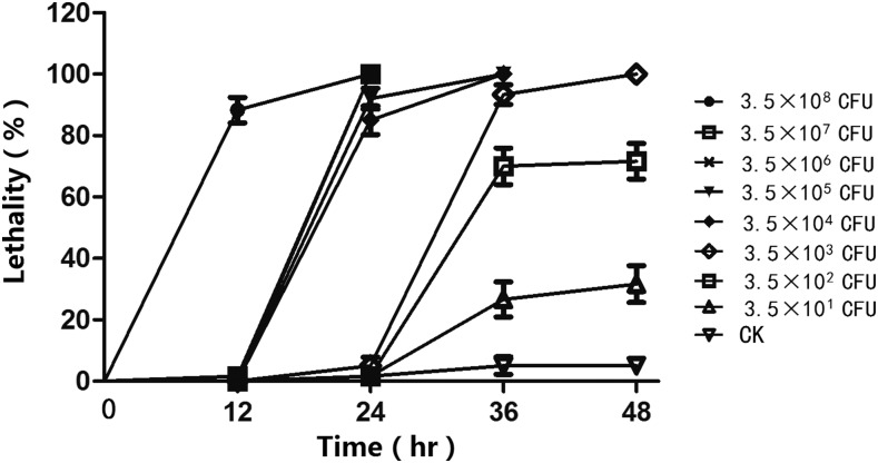 Fig. 6