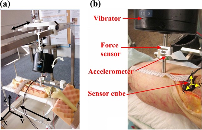 Figure 1