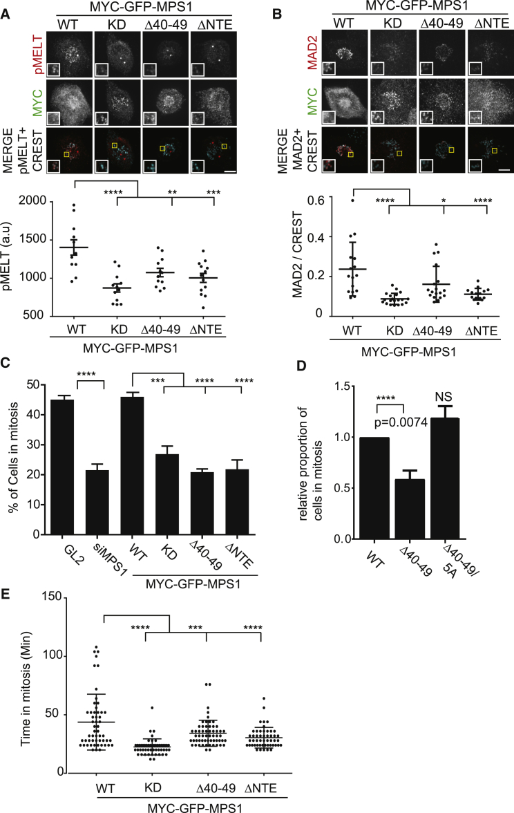 Figure 6