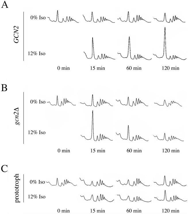 Figure 6.