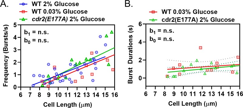 Figure 7—figure supplement 1.