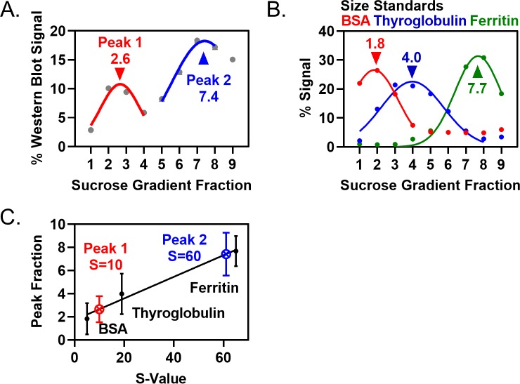 Figure 2—figure supplement 2.