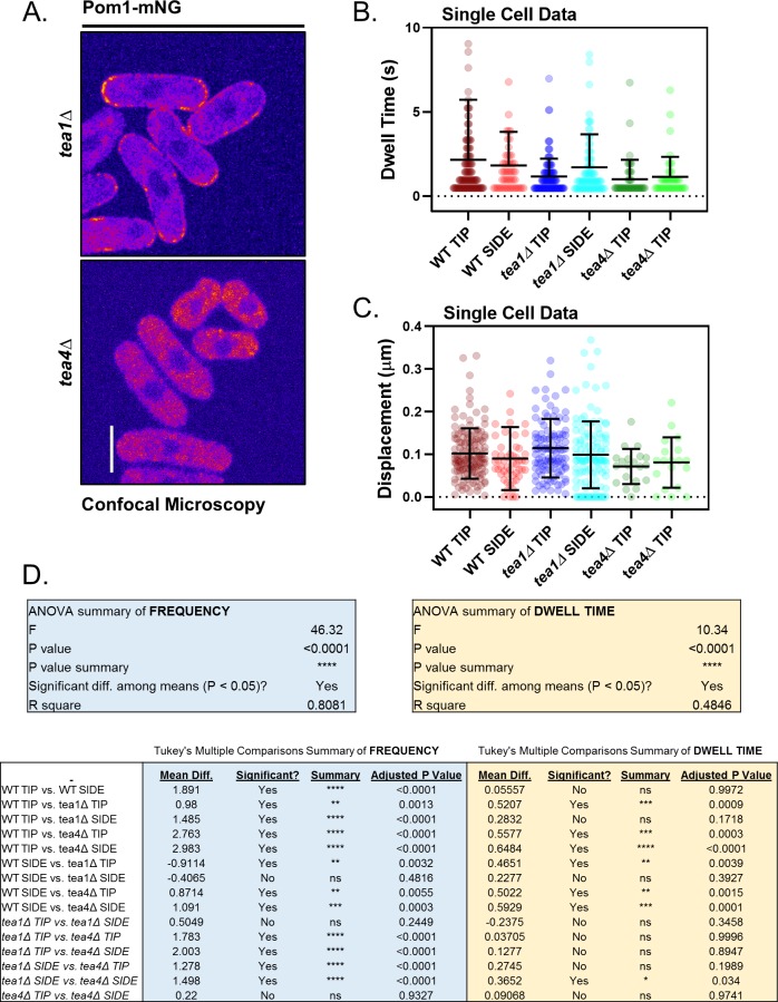 Figure 3—figure supplement 1.