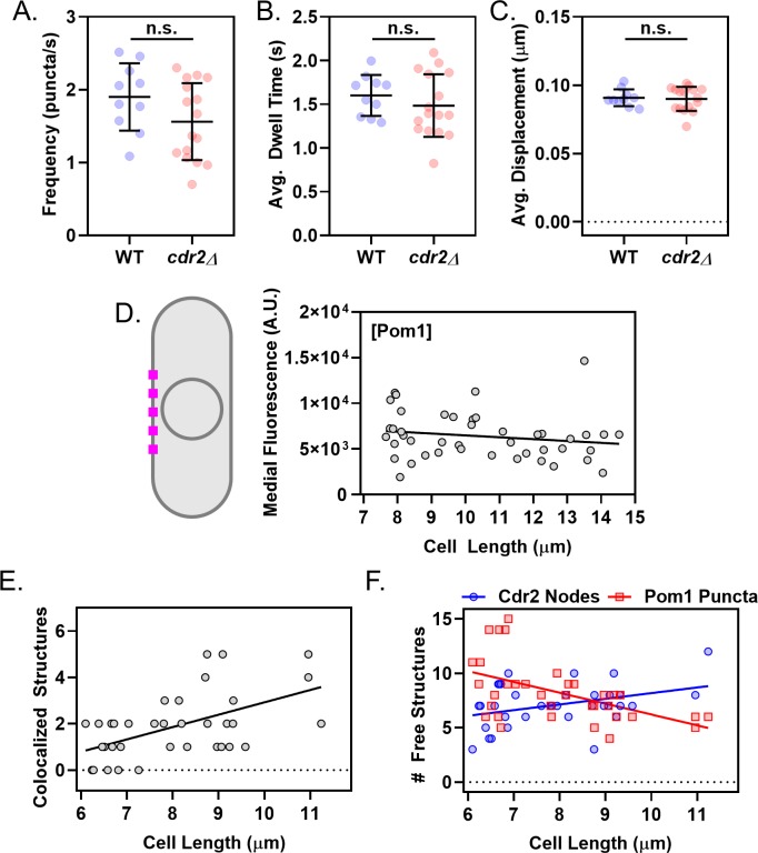 Figure 4—figure supplement 3.