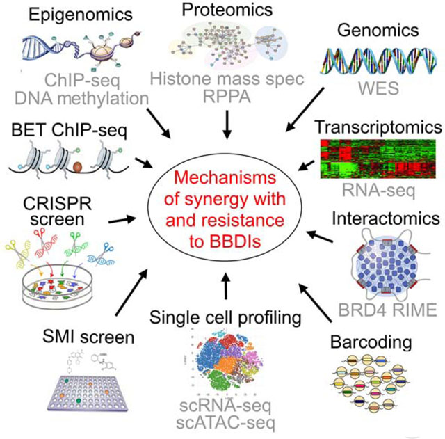 graphic file with name nihms-1589967-f0008.jpg