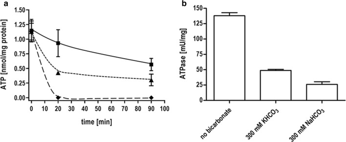 Fig. 4