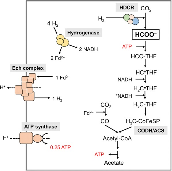 Fig. 1