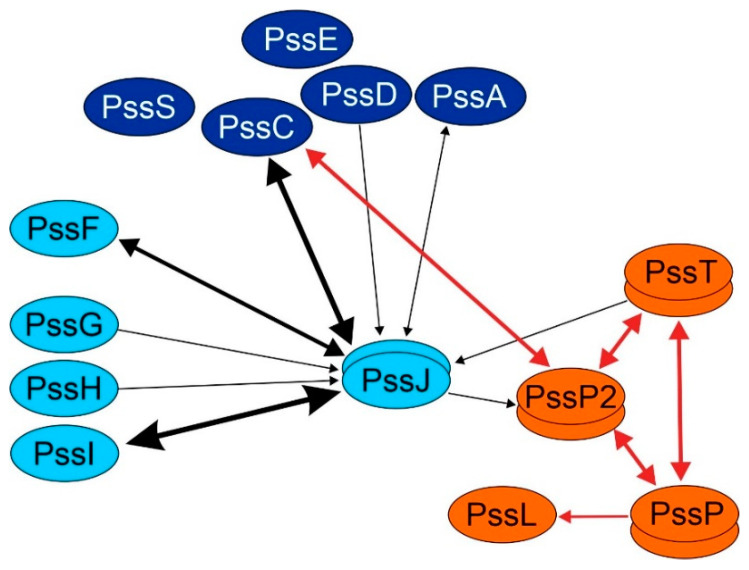 Figure 11