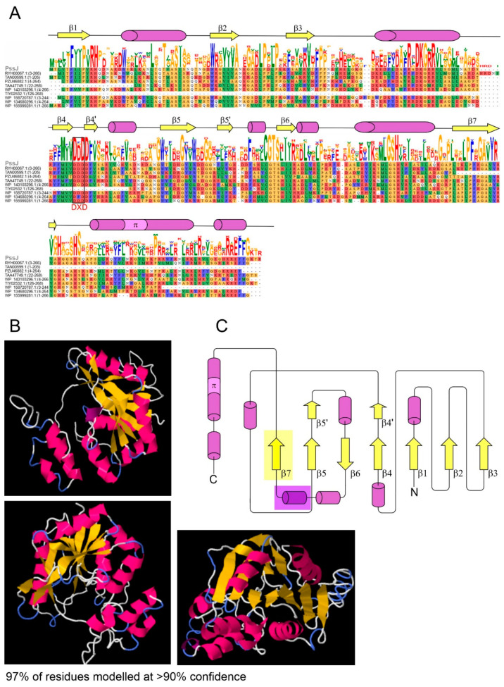 Figure 2