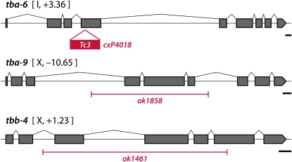 Figure 1.—