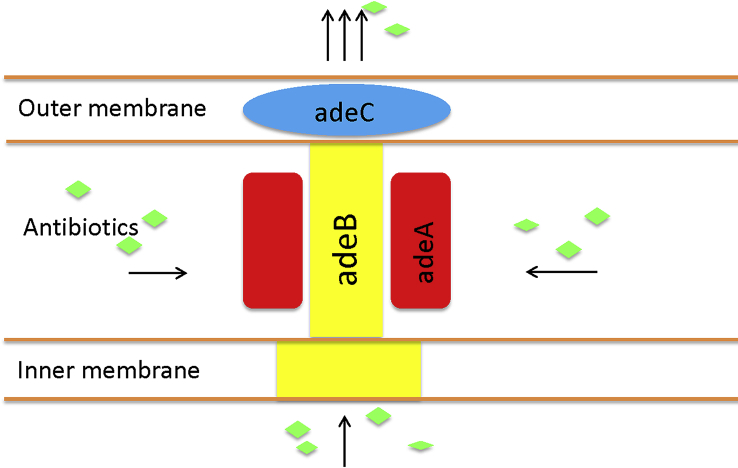 Fig. 1