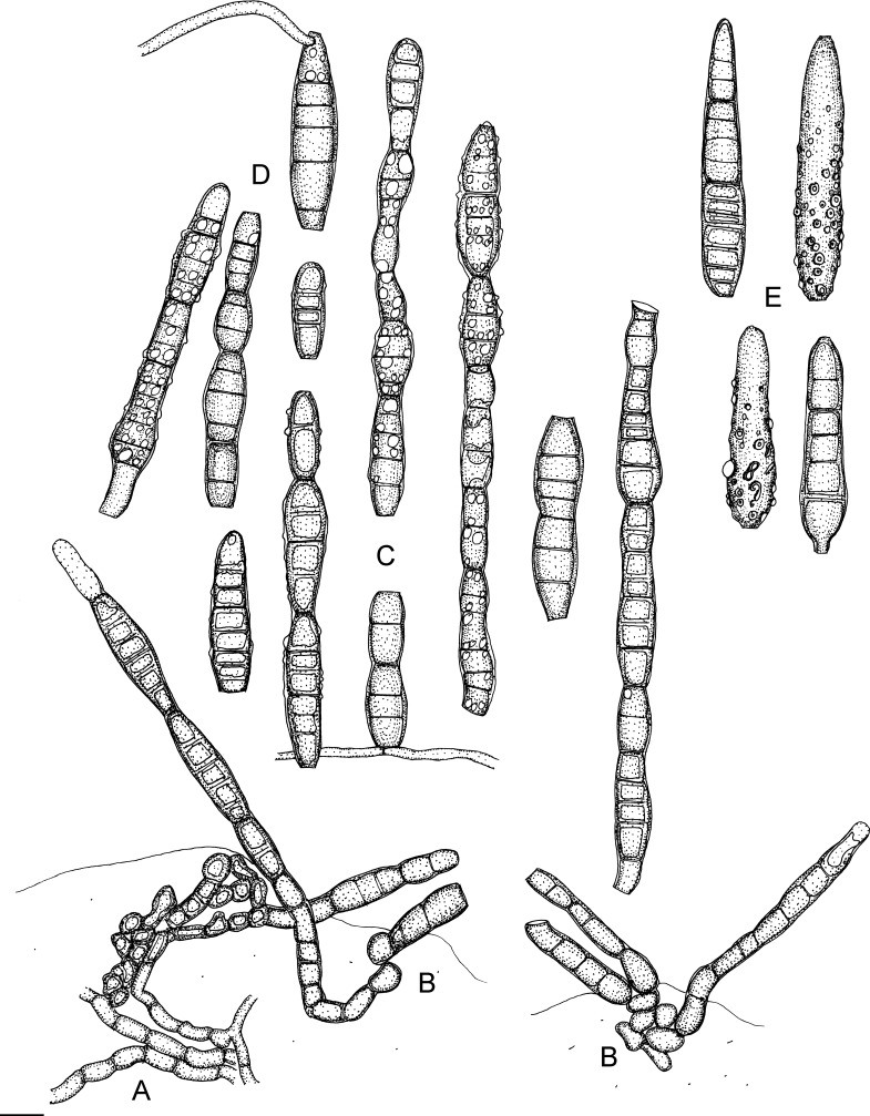 Fig. 91.