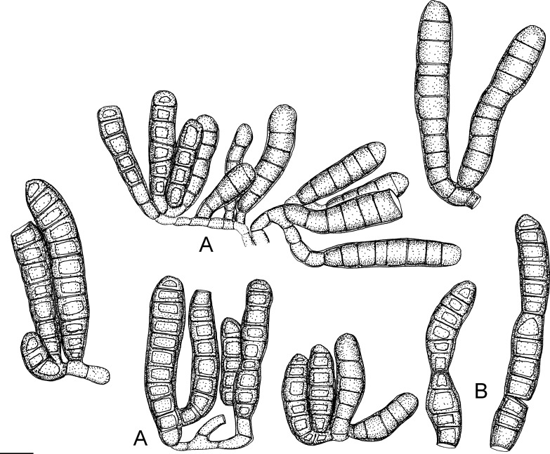 Fig. 103.
