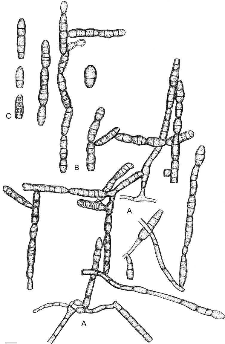 Fig. 86.