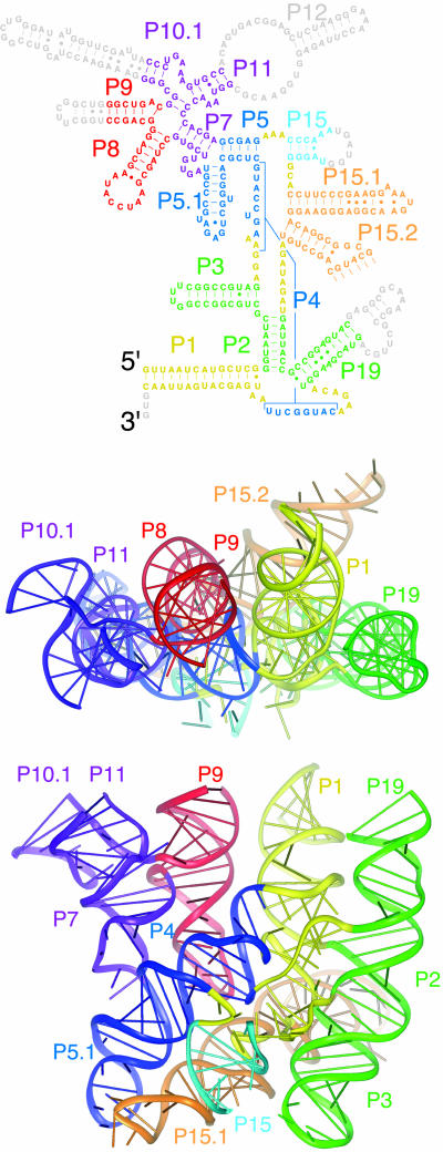 Fig. 1.