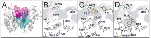 Fig. 4.