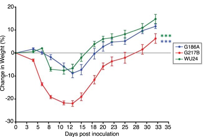 FIG 6 