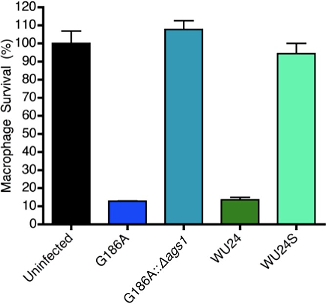 FIG 2 