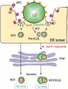 Fig. 8.