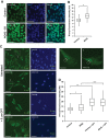 Figure 2.