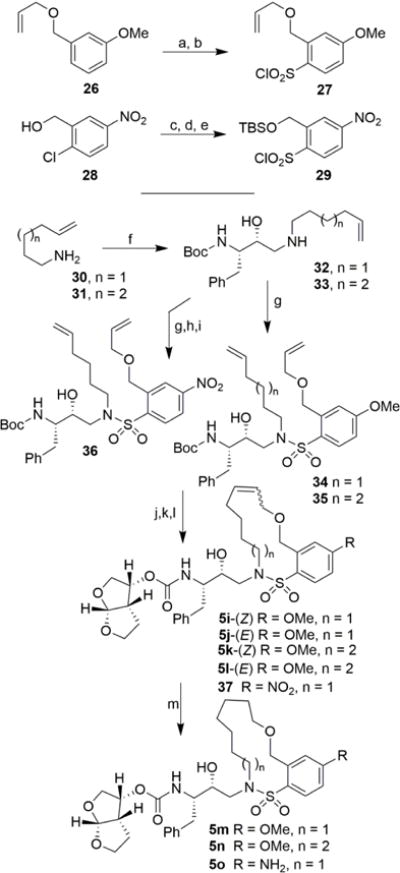 Scheme 3