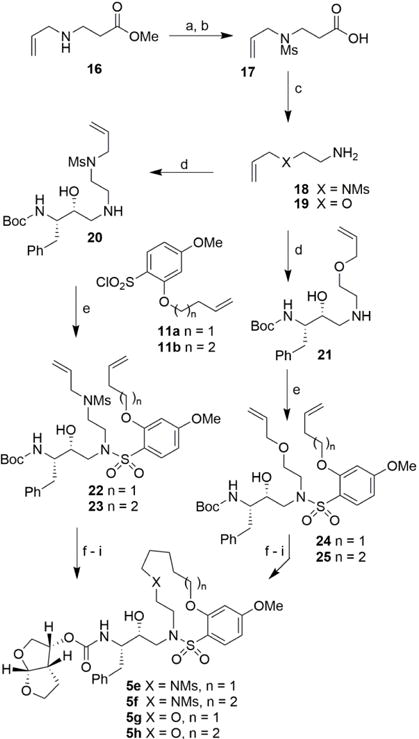 Scheme 2