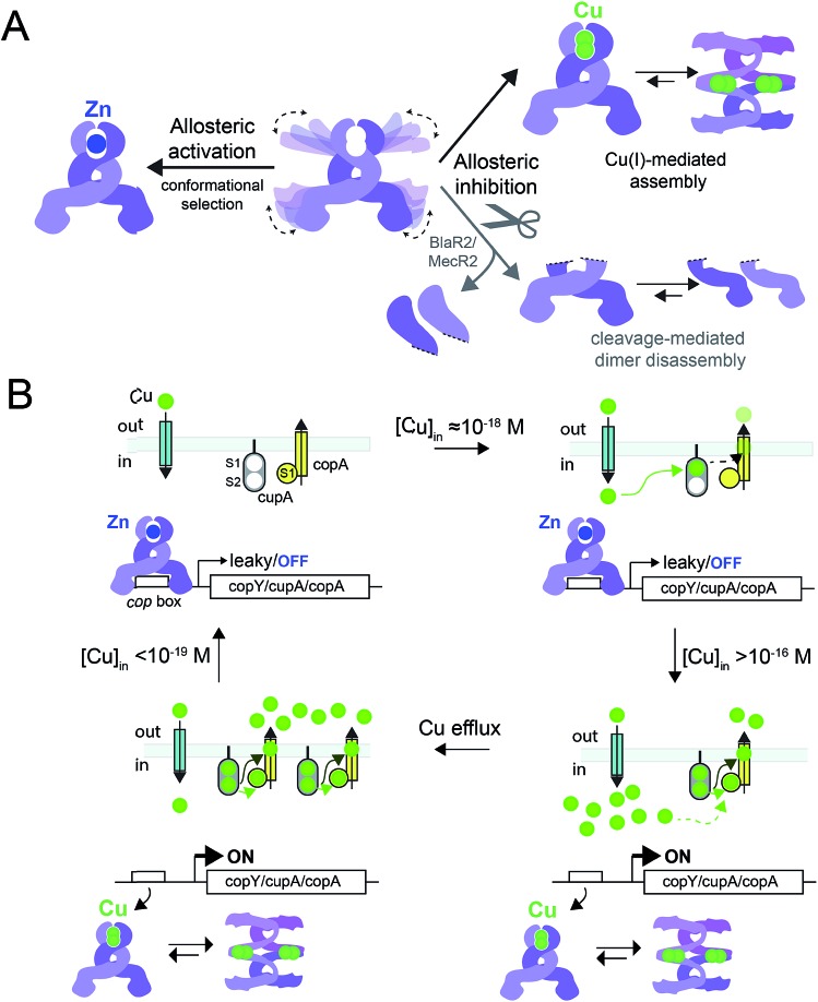 Fig. 10