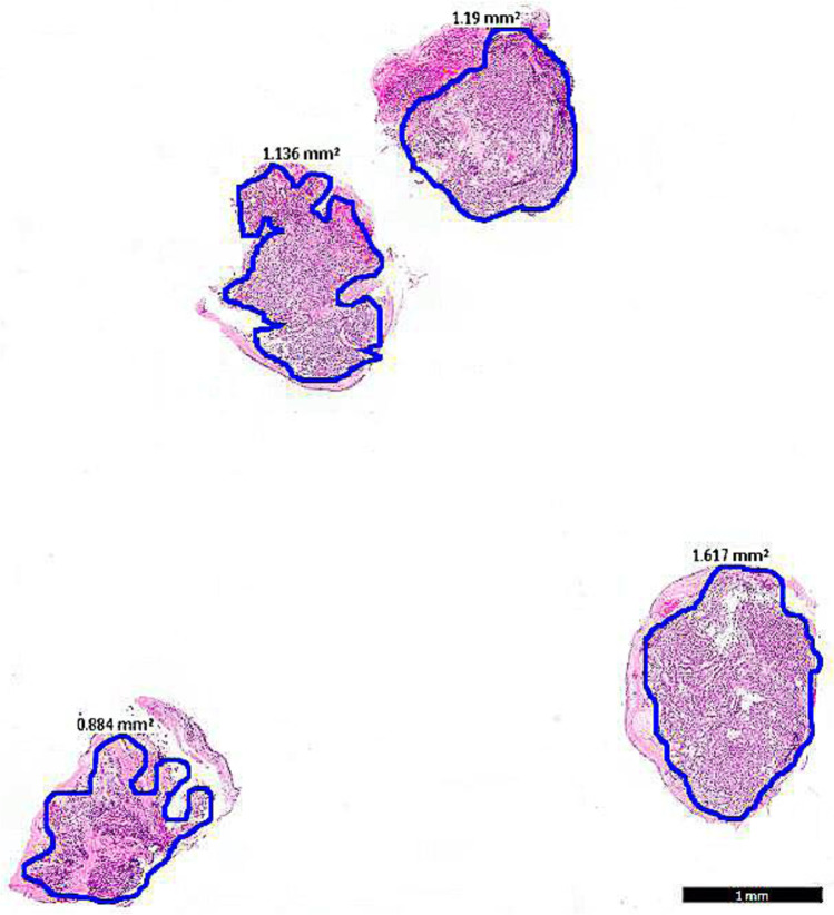 Fig. 2