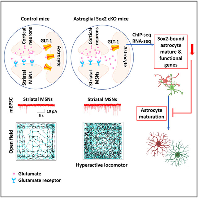 graphic file with name nihms-1860001-f0001.jpg