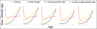 Figure 1—figure supplement 1.