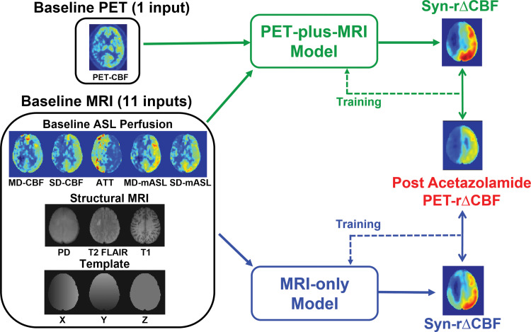 (a) Image shows conceptual framework of study. Two deep learning models combined multiple inputs from baseline PET and MRI to predict relative cerebral blood flow (CBF) change (rΔCBF) after acetazolamide, with rΔCBF measured with PET (PET-rΔCBF) as reference. PET-plus-MRI model used both baseline PET and MRI inputs. MRI-only model used only MRI inputs. (b) Image shows architecture of deep learning model (PET-plus-MRI model shown for simplicity; MRI-only model would exclude baseline PET CBF map from inputs). Network components are color coded and labeled at bottom, and input and output image dimensions are labeled. Channel numbers in each step are shown above blocks. ASL = arterial spin labeling, ATT = arterial transit time, BN = batch normalization layer, CONV = convolutional layer, FLAIR = fluid-attenuated inversion-recovery, linear = linear layer, mASL = mean ASL difference signal, MD = multidelay, PD = proton density–weighted image, ReLU = rectifier linear unit, SD = single-delay, Syn-rΔCBF = synthetic rΔCBF predicted by deep learning models.